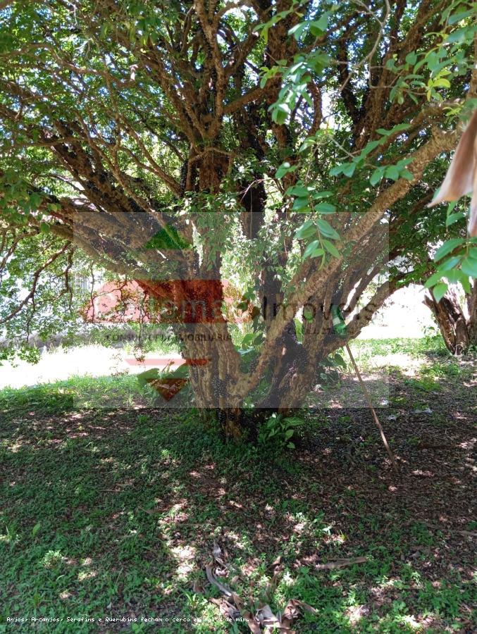 Sítio para alugar com 15 quartos, 1121m² - Foto 52