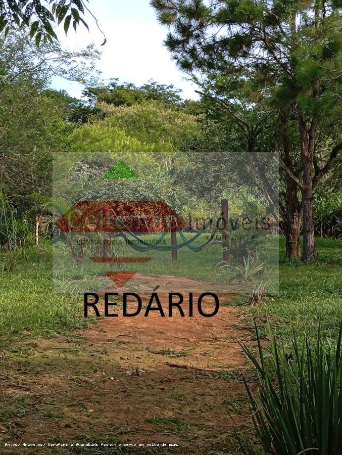 Terreno à venda, 275m² - Foto 7
